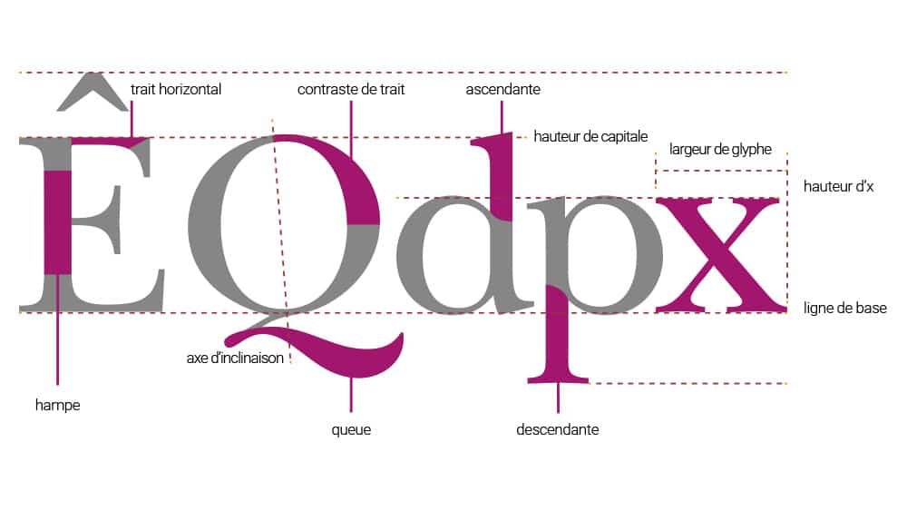 Typographie : Extrait page 32 « Le processus de conception d'un logo »