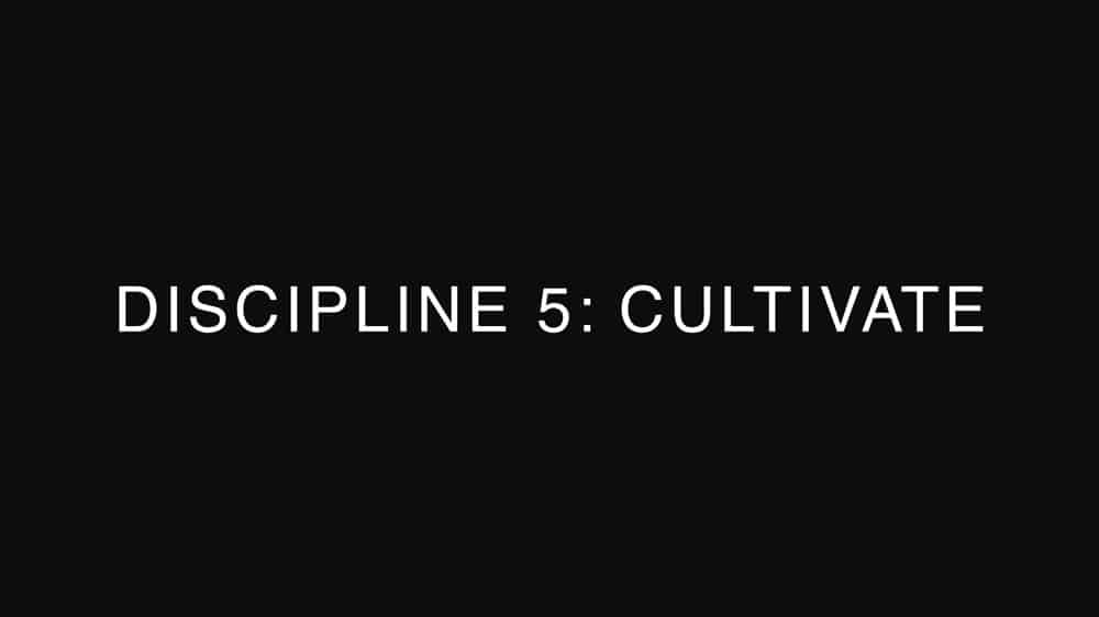 The Brand Gap - Discipline 5 : Cultiver