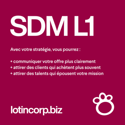 Stratégie de marque L1 [Paiement 1/2]
